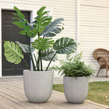 Two large potted plants grace a wooden deck: a tall plant with broad leaves and a shorter, fern-like companion. Set against a white building, their planters feature a modern striped pattern, adding an elegant touch to the home and garden aesthetic.