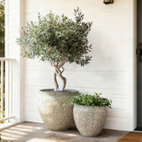 Round Planter Pot, Rustic Flower Pot with Drainage Hole 12.4'' Dia