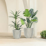 Two large potted plants with green leaves stand on a beige tiled floor against a light wall, nestled in sleek, modern planters.