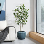 A potted plant with green leaves sits in a ceramic flowerpot on a tiled floor next to a white couch and large window.