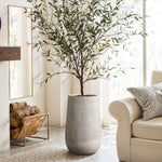 A potted tree with slender leaves graces a textured vase alongside a white sofa in a bright, modern minimalist aesthetic living room, featuring a natural wood pattern basket and large windows.