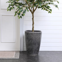 A tall plant with green leaves sits in a LuxenHome Sea Gray Ripples Glazed Tall Ceramic Planter (17 h) on a dark floor, beside a white paneled wall and part of a white door with decorative trim. A beige woven rug adds elegance to the scene in the foreground.