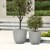 Two potted plants in modern striped pattern planters sit on an outdoor patio, with steps and lush greenery in the background, creating a serene home and garden atmosphere.