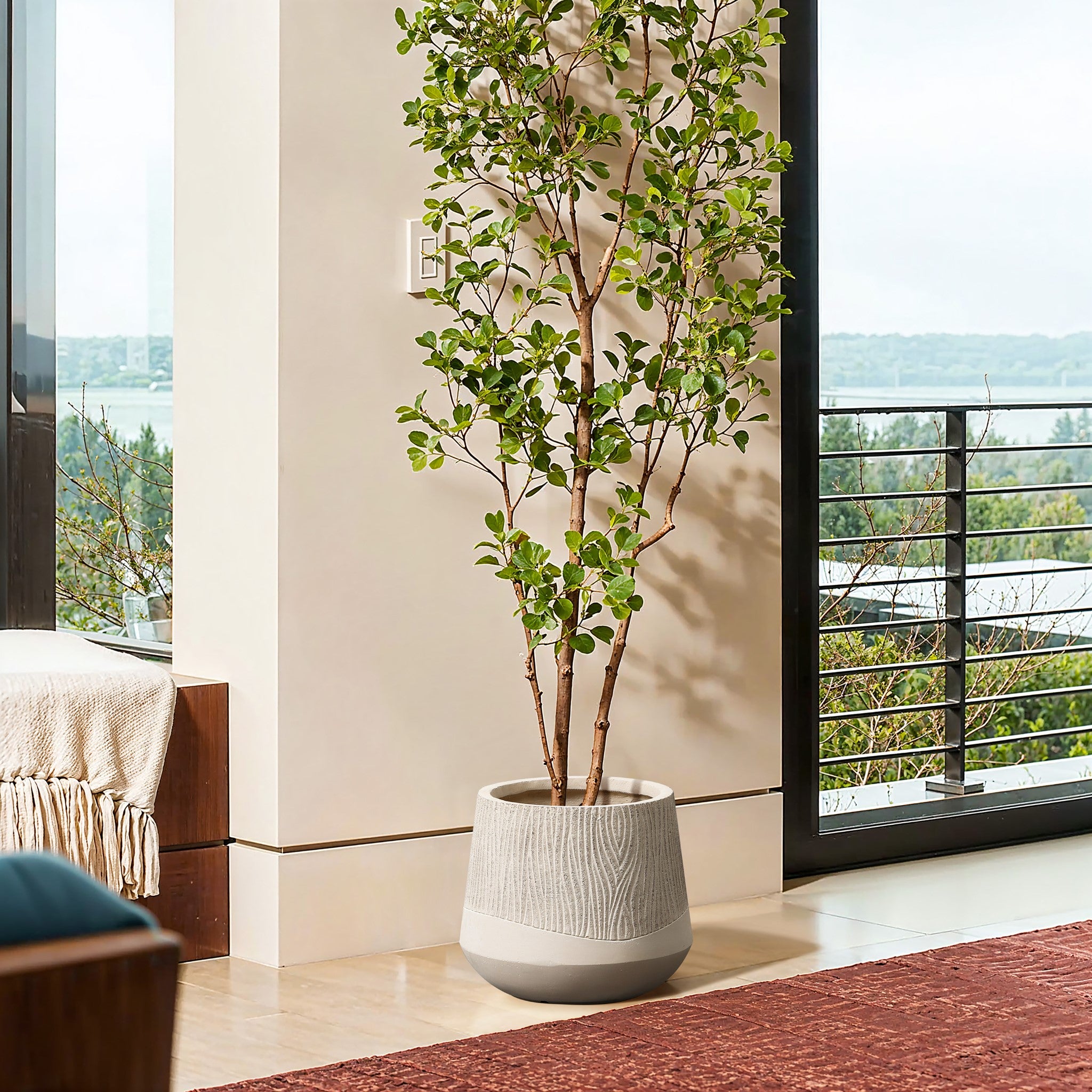 A potted plant with slender branches and green leaves sits in an elegant wood planter, placed on a light-colored floor. It rests near a large window overlooking trees and a distant body of water.