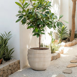 Beige Large Pot for Plants with Drainage Hole, 17.7'' Dia