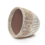 Two Tone Ivory Large Round Plant Pots, Modern Indoor Outdoor Ceramic Planter 14'' Dia