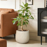 Large Plant Pot  for Indoor and Outdoor Plants with Drainage, 14'' Dia