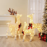 create-a-magical-winter-wonderland-in-your-front-yard-with-this-3-piece-frosted-reindeer-christmas-decor-set