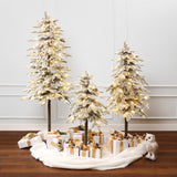 Pre-Lit Green Christmas Tree with Lights Faux Snow- Set of 3