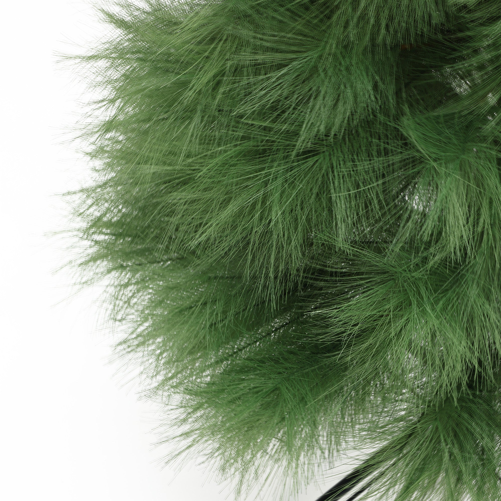 Close-up of 6ft pampas grass tree dense, fine green pine needles against white background.