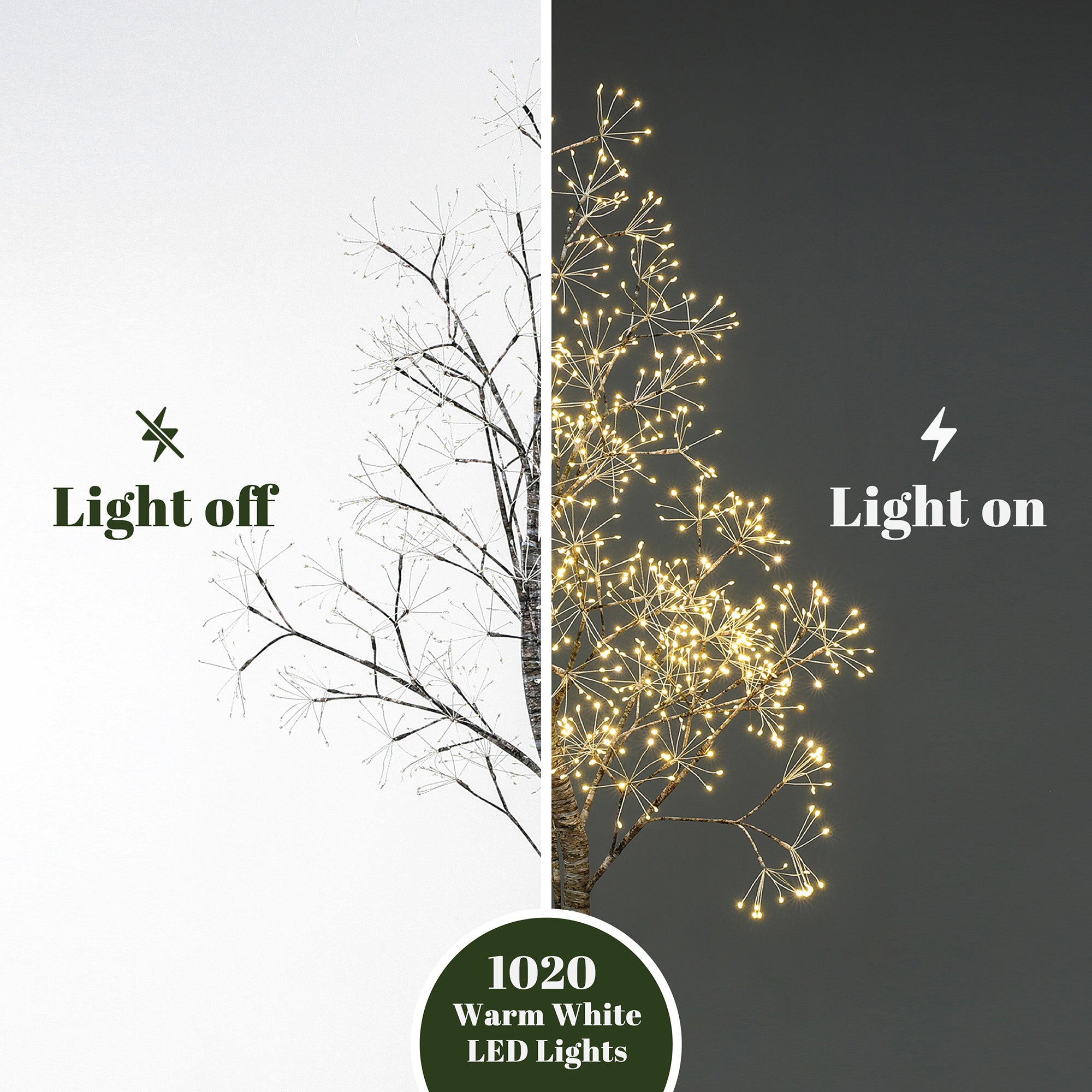 Split image of birch tree: left side shows lights off on white background, right side shows tree glowing warmly in the dark. Text reads 1020 warm white led lights.