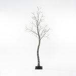 Leafless birch artificial tree with slender trunk, bare branches stands on small square base.