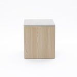 Light wood rectangular snow oak end table with a flat top, viewed from the front against a plain white background.