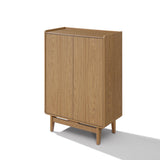 Modern wood storage cabinet featuring two doors and four short legs, displayed against a plain white background.