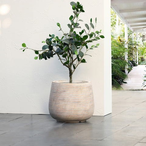 Distressed Tan MgO Tapered Round Planter