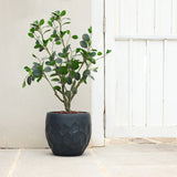 A small tree with green leaves in a textured black planter, crafted from magnesium oxide material, stands on a stone patio near a white door.