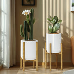 Two potted plants in modern metal plant pots on wooden stands by a sunlit window. The left pot contains a tall cactus with a white flower, and the right pot has a leafy green succulent.