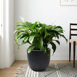 indoor-essentia-round-medium-black-planter-for-faux-plants 