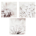 Elegant-Set-of-three-dandelion-canvas-photos-with-led-lights