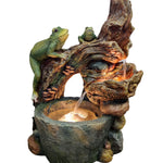 frog-and-a-bird-sitting-on-a-tree-trunk-and-bubbling-water-fountain