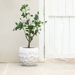 A potted plant with lush green leaves sits gracefully in a geometric pot planter made of magnesium oxide material, ideal for both indoor and outdoor use. It rests on the stone floor near a charming white wooden door, blending style and functionality effortlessly.