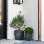 Two potted plants in durable magnesium oxide pot planters are placed on a patio near a brick wall and door, creating a touch of botanical paradise.