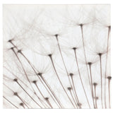 Canvas-of-Dandelion-with-Led-lights