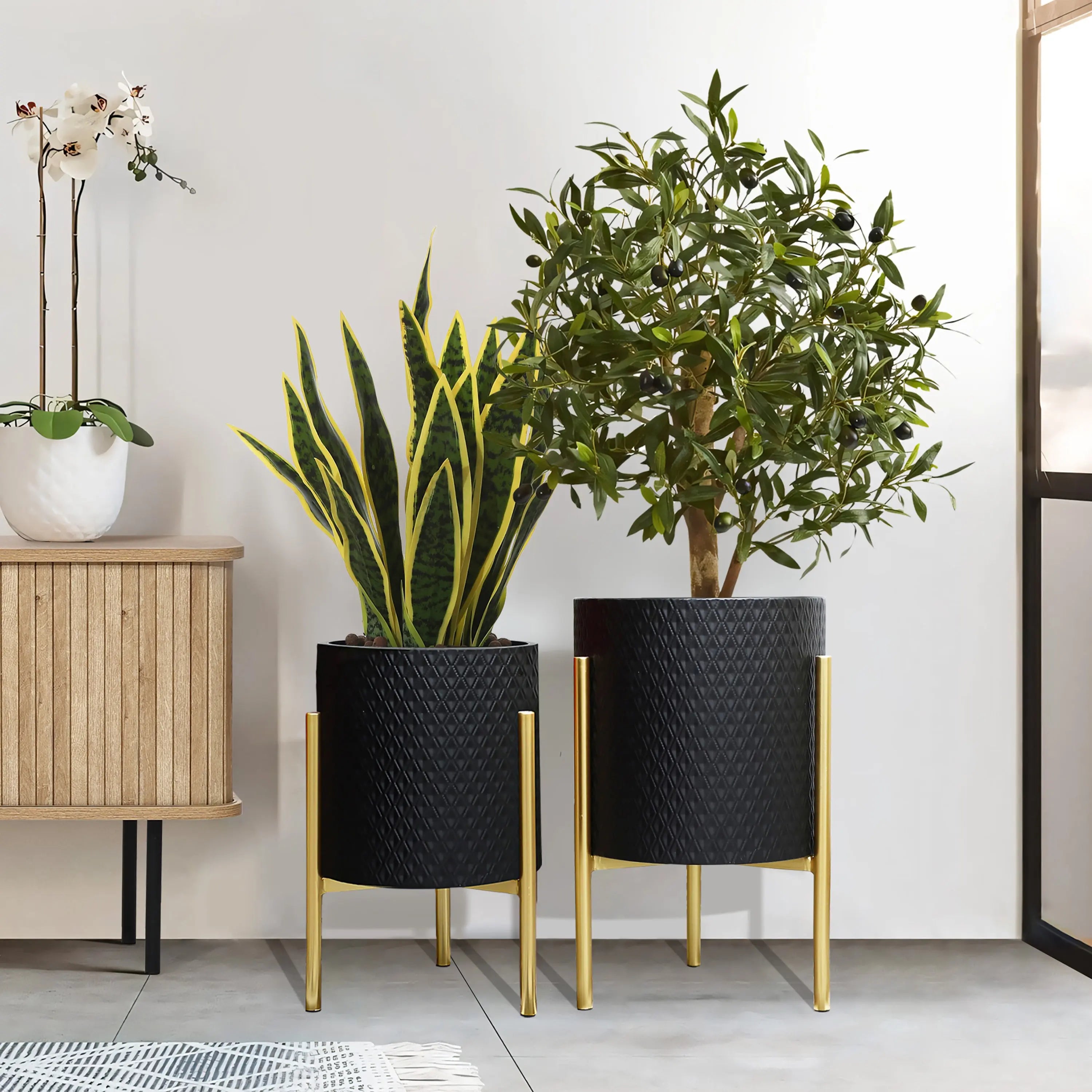 Two potted plants in a contemporary modern style feature black planters and gold stands; one is a sansevieria, and the other is a bushy leafy plant. They are placed indoors on a tiled floor next to a wooden cabinet, adding elegance with their sleek design.