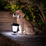Farmstead garden statue, puppy, w/ solar light