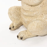 Pug with cap statue