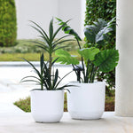 Two large white pots, featuring a minimalist design, contain various green tropical plants on an outdoor patio. The scene is set against a white wall with trimmed hedges in the background, highlighting the weather-resistant nature of these contemporary planters.