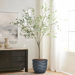 A durable magnesium oxide pot planter cradles a tall plant with slender branches and green leaves, sitting by a window in a bright room next to a dark wooden cabinet, creating an inviting botanical paradise.