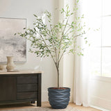 A durable magnesium oxide pot planter cradles a tall plant with slender branches and green leaves, sitting by a window in a bright room next to a dark wooden cabinet, creating an inviting botanical paradise.