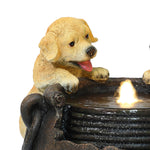 Playing Puppy Outdoor Water Fountain with Lights - LuxenHome