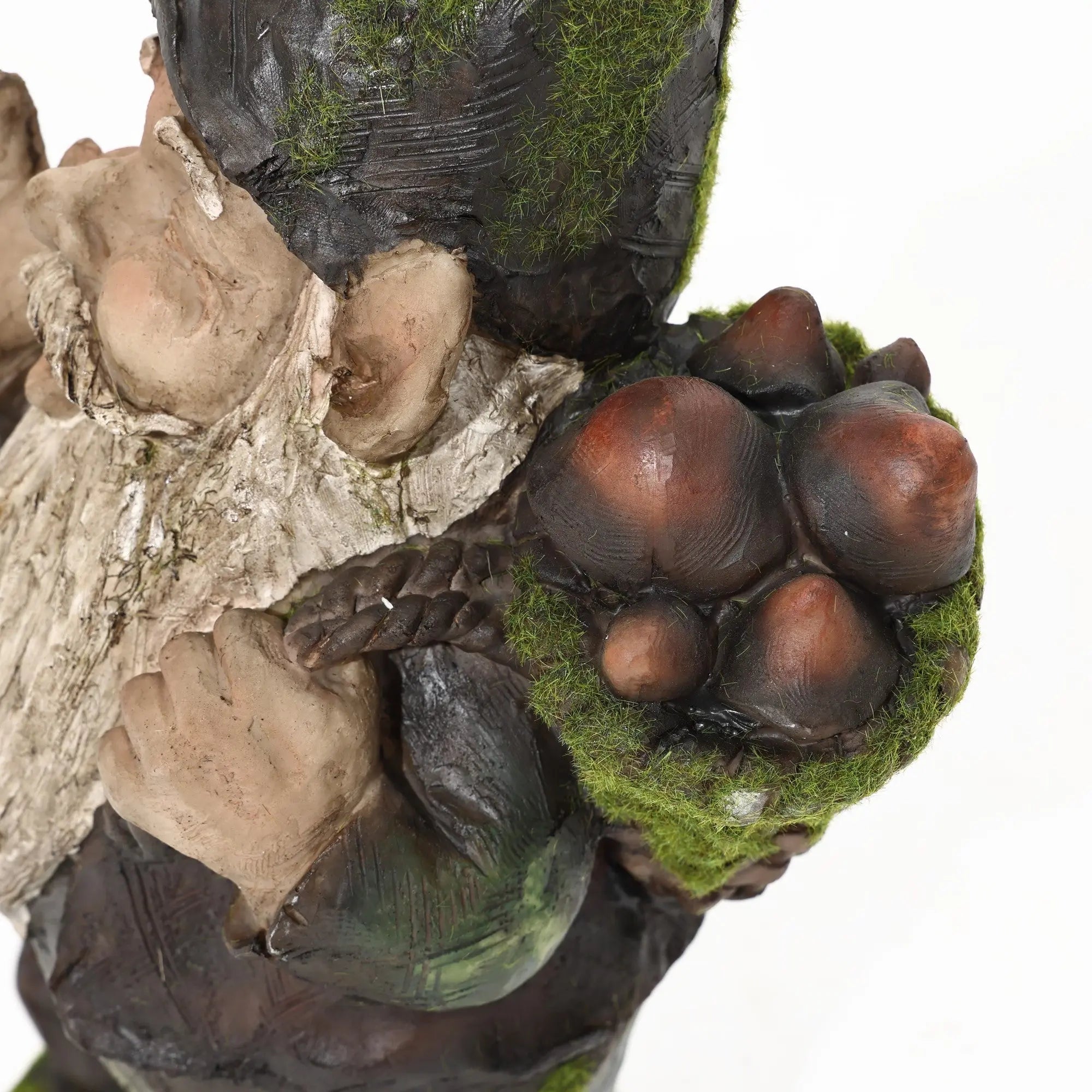tree-trunk-and-acorns