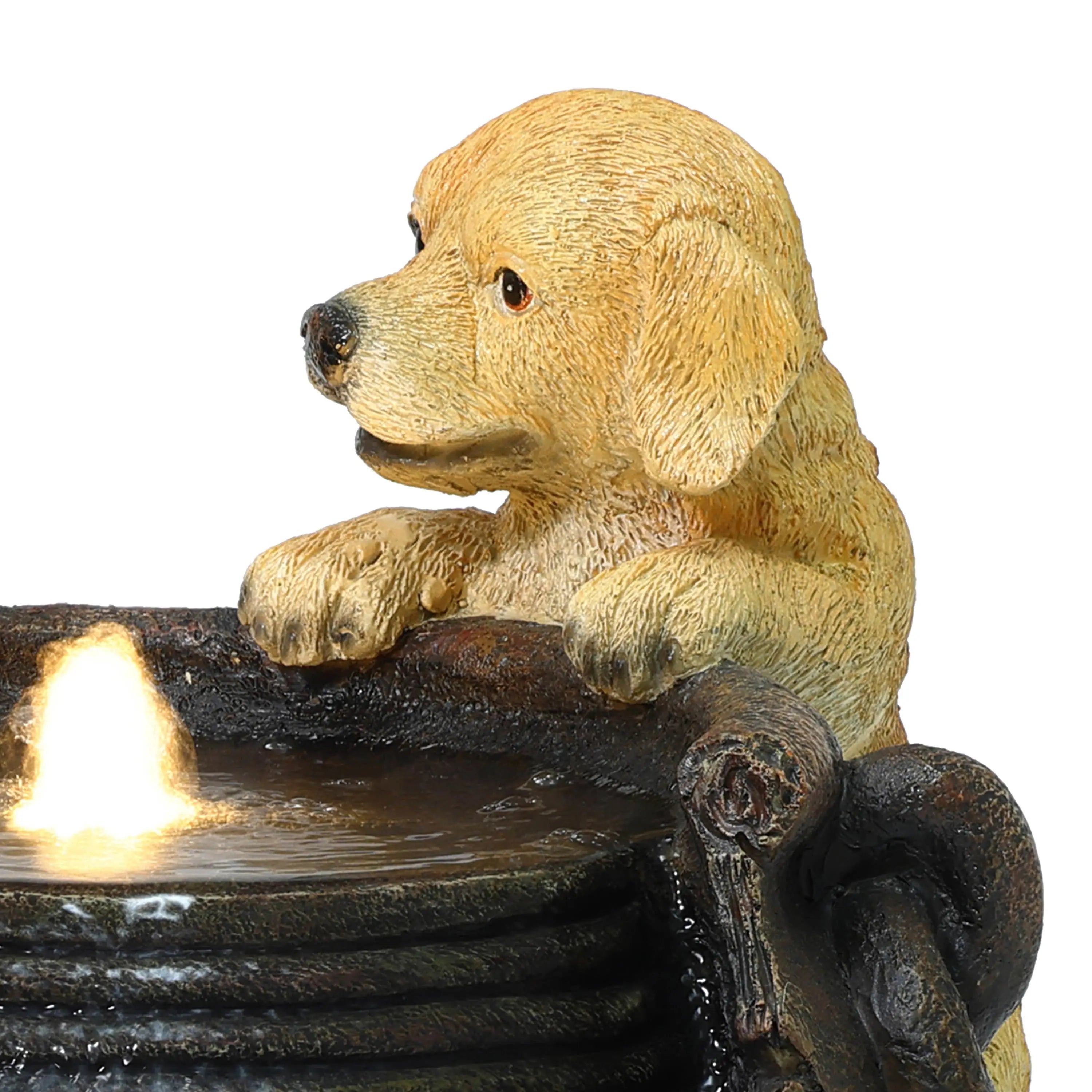 Playing Puppy Outdoor Water Fountain with Lights - LuxenHome