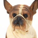 Close-up of a brown and cream French bulldog statue made from durable resin, showcasing detailed facial features and upright ears against a white background.