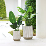 Two potted plants with large green leaves in weather-resistant, magnesium oxide planters on a patio near a pillar. The background features trimmed hedges and a paved area, harmonizing with the durable elegance of the planters.