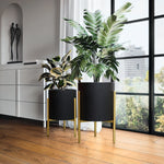 Two potted plants with large green leaves in sleek contemporary modern style planters on a wooden floor near a white cabinet and large window.