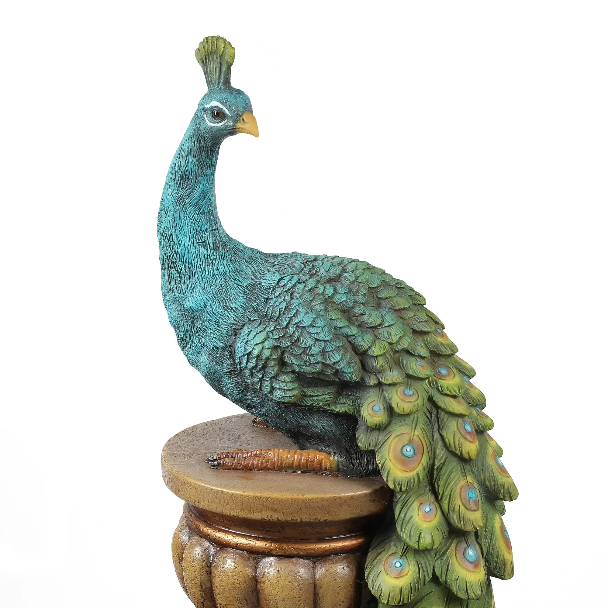 detailed-peacock-with-blue-and-green-feathers
